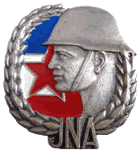 Značka - primeran vojnik